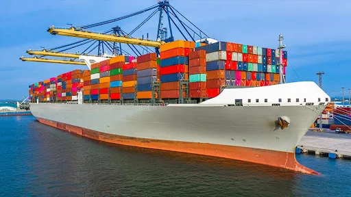 Quy trình và thủ tục xuất nhập khẩu hàng hóa tại Việt Nam